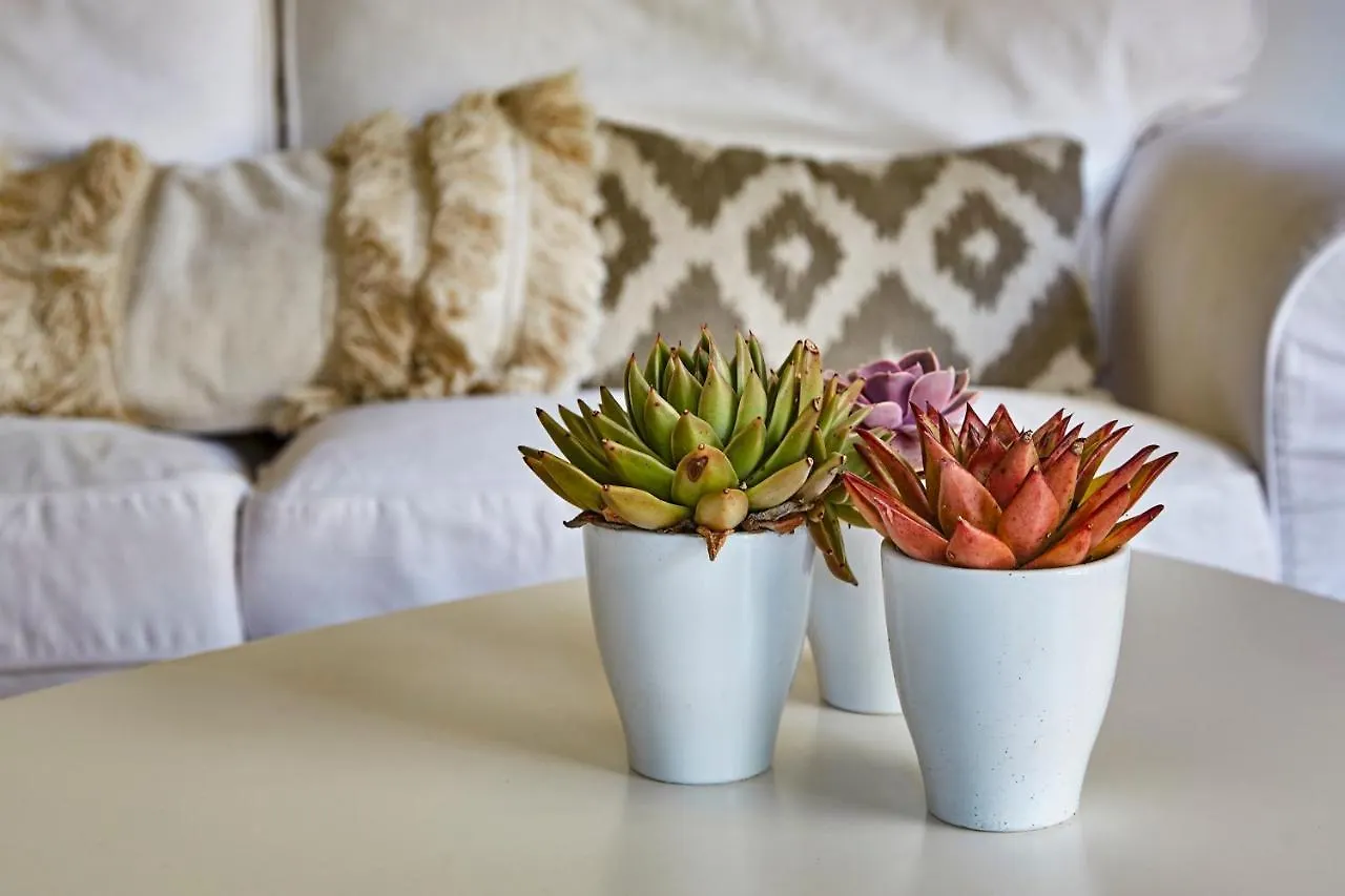 펜션 Casa Granada At Masia Nur Sitges, With Private Pool And Adults Only 카니에예스 스페인